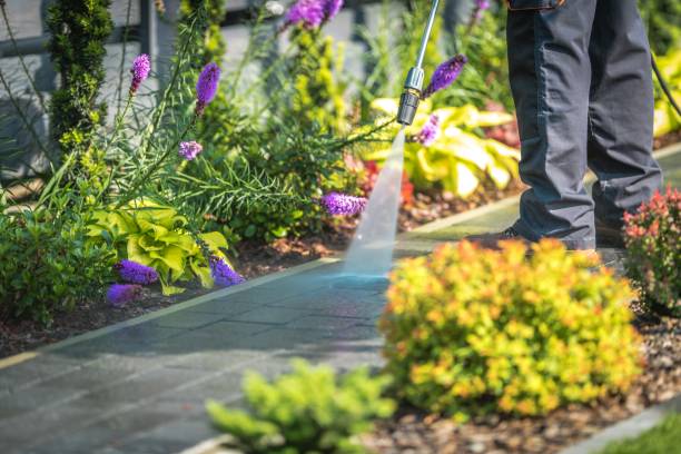 Best Sidewalk and Walkway Cleaning  in Singac, NJ