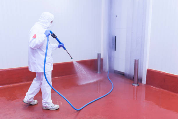 Best Oil Spill Cleanup  in Singac, NJ